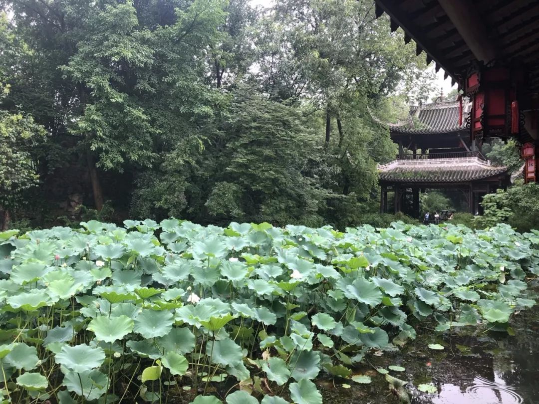 三苏背后的好风水来自“三苏”背后的女人程夫人