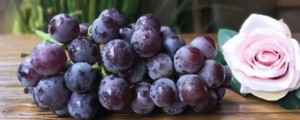 葡萄可以连皮带籽榨汁吗