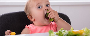 宝宝不吃蔬菜怎么办