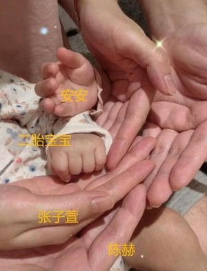 陈赫宣布妻子产二胎