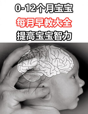 婴幼儿一岁内每月早教大全开发大脑发育
