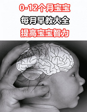 婴幼儿一岁内每月早教大全开发宝宝大脑