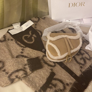 Dior 秋冬新款马鞍包购物分享