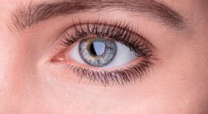 眼睑上长了个小白点疼肿 由哪些原因导致