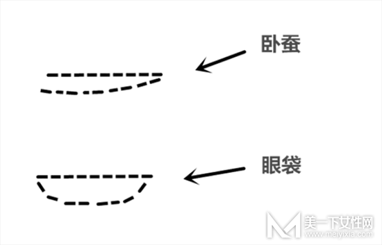 卧蚕和眼袋的区别是什么 卧蚕的画法步骤图解