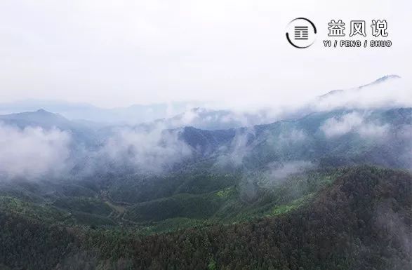 风水祖师杨公真迹,一碗茶换来了千年富贵