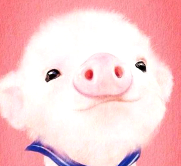 农历三月的猪命苦 属猪的几月出生最好