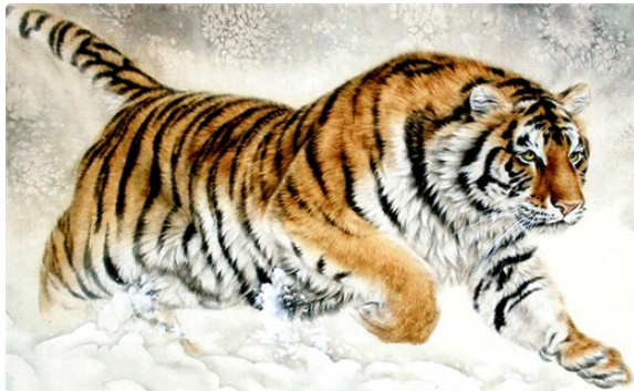 属虎十年大运 属虎的几月出生最好命