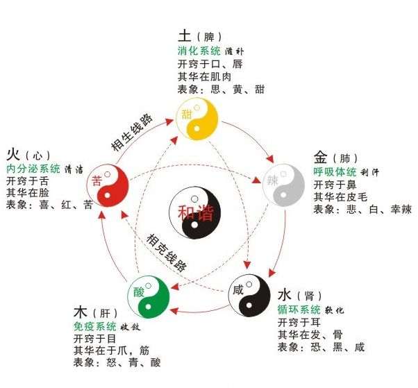 不懂身体的五行吃保健品都没安全感！身体不对对应的五行