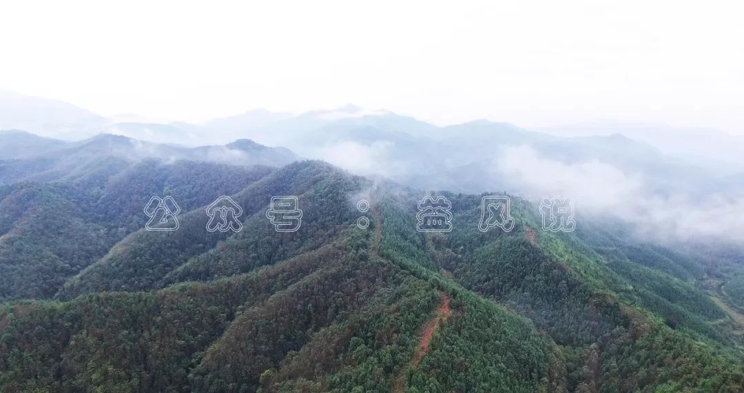 风水祖师杨公真迹,一碗茶换来了千年富贵